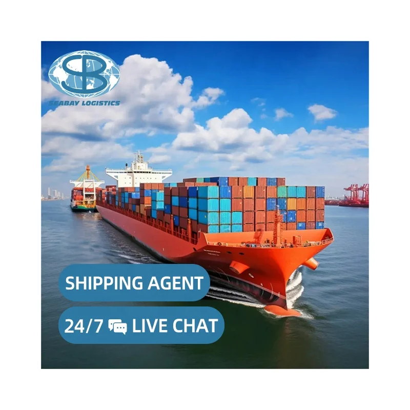 Professional Transport Service Door To Door Delivery Shipping To Usa Italy Canada Uk Russia Uae Saudi Arabia