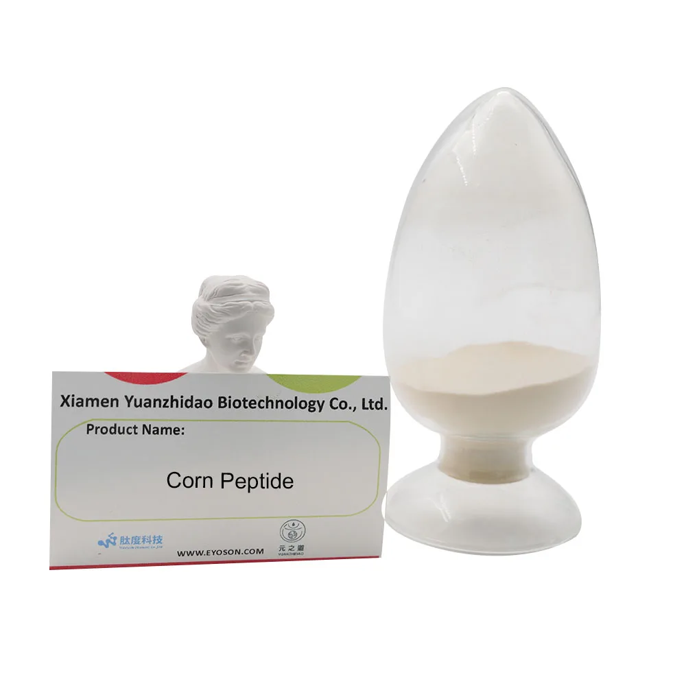 Corn Peptide Factory Hot Sale 100%  Natural Pure Corn Protein Peptide Powder  Water Soluble Corn Peptide