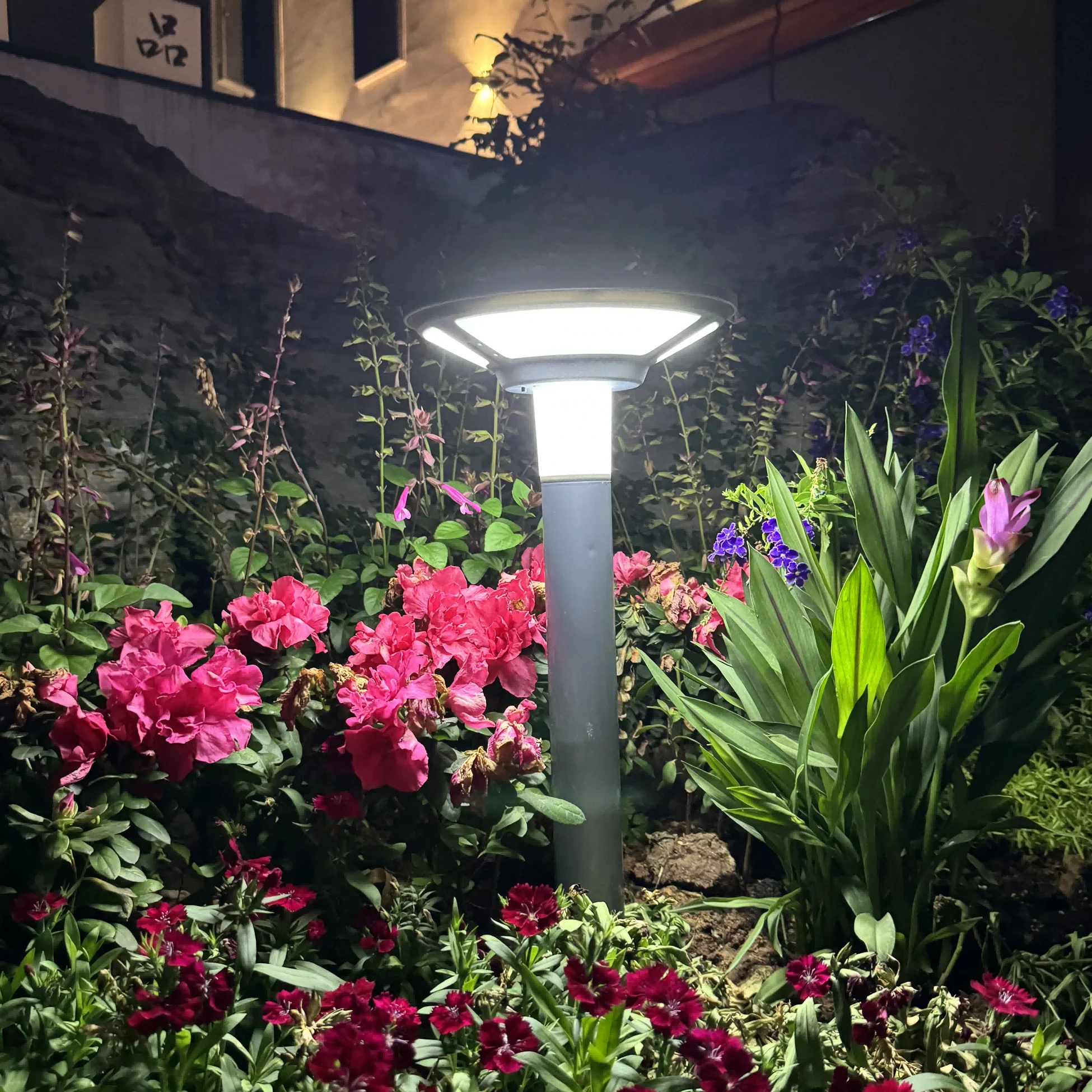 Meixin Waterproof Ip65 Street Garden Led Solar Light