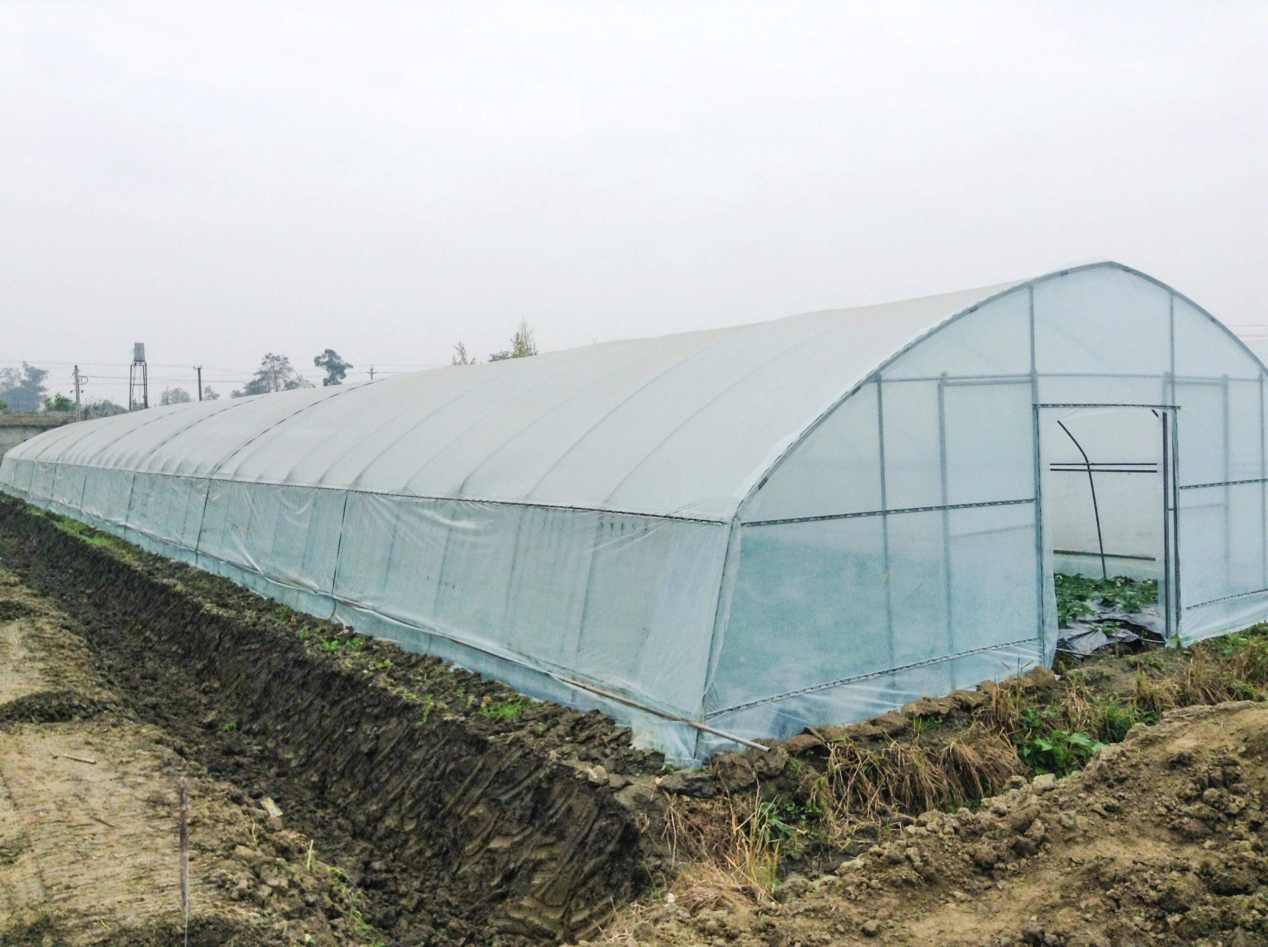 Greenhouse 200micron Plastic Film Pe Film uv resistant uv plastic sheets greenhouse