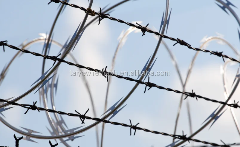 Hot Sale Galvanized Razor Barbed Wire Clips for Razor Wire Fasten