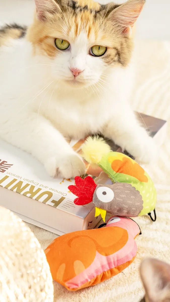 Cat chewing toys, plush cat toys, cat supplies wholesale