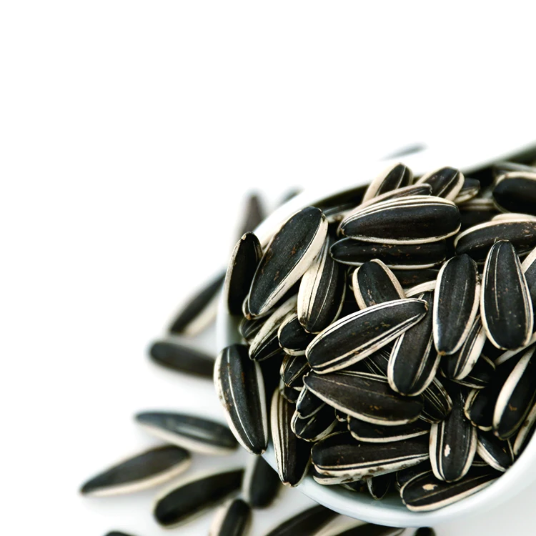 hot sale high quality big striped  sunflower seed with black color whole sale ton price