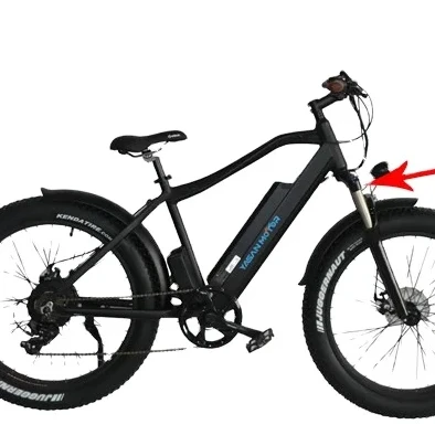 MTB BAFANG motor electric bicycle alloy wheels 1000 watt for Germany market 2024 new model fashion
