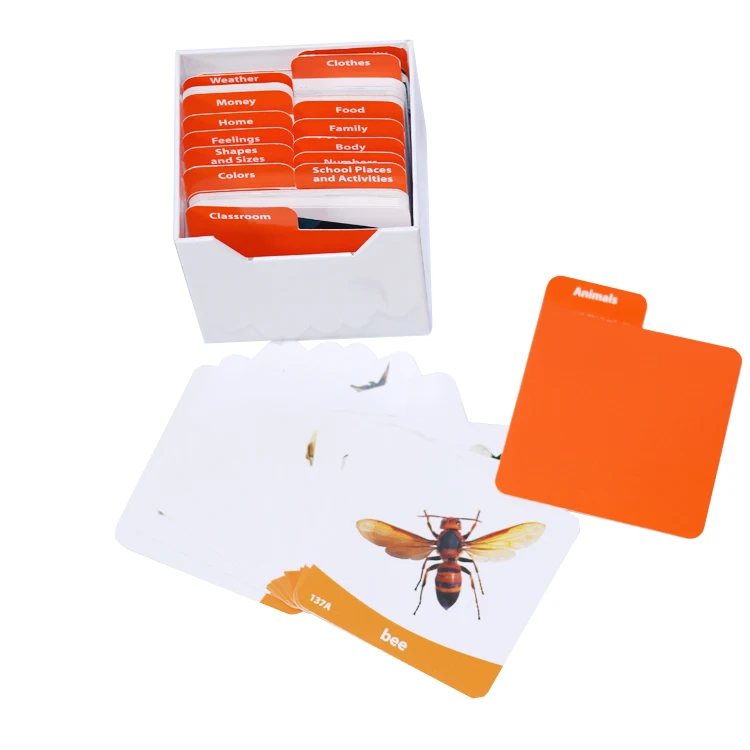 Custom educational flash game cards printing for kids learning with index cards