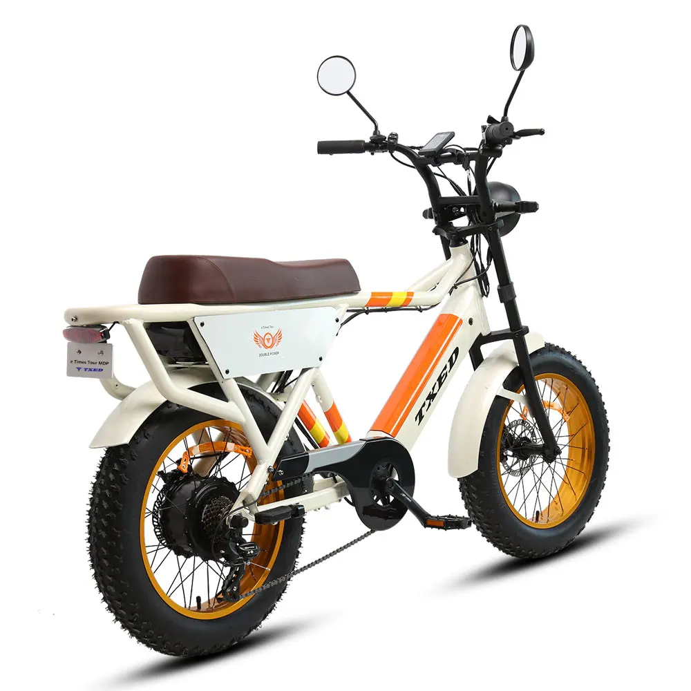 TXED New model electric bicycle 1000w electric motorcycle e bike with 2 battery