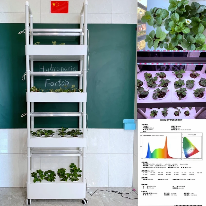 Hydroponics Growing System Garden Planting Tower With Full Spectrum LED  4 Layers 56 Plants Indoor Geenhous Equipment