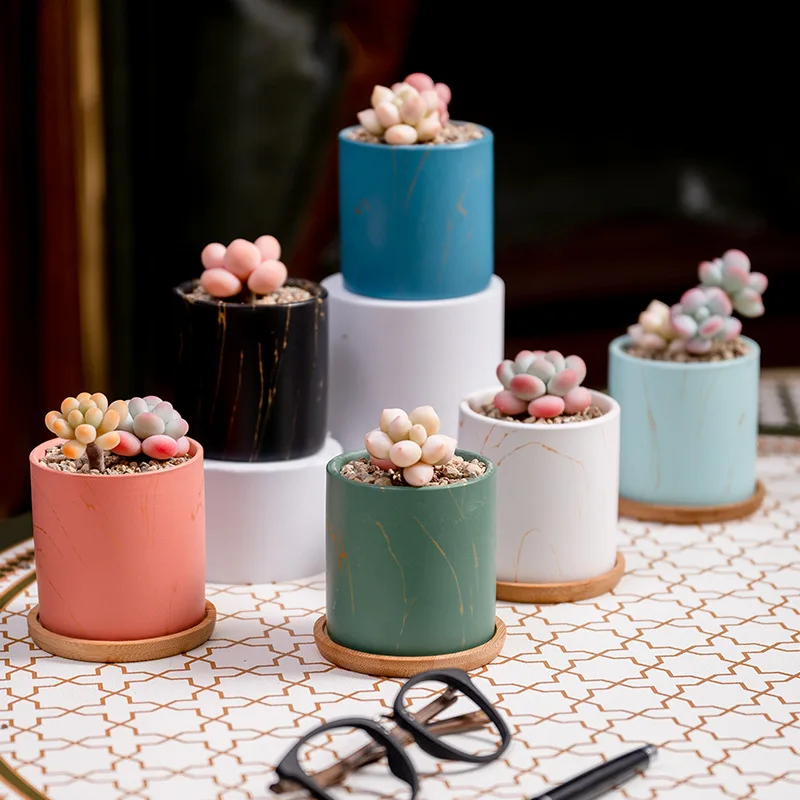 Wholesale Simple Color Ceramic Succulent Flower Pot