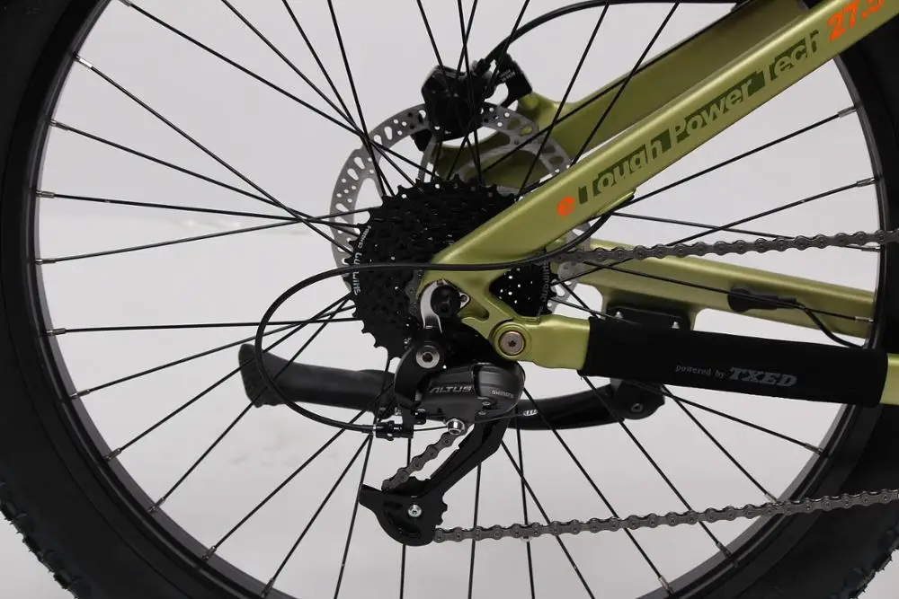 2020 New  ebike mid drive 500W suspension MTB bicycle