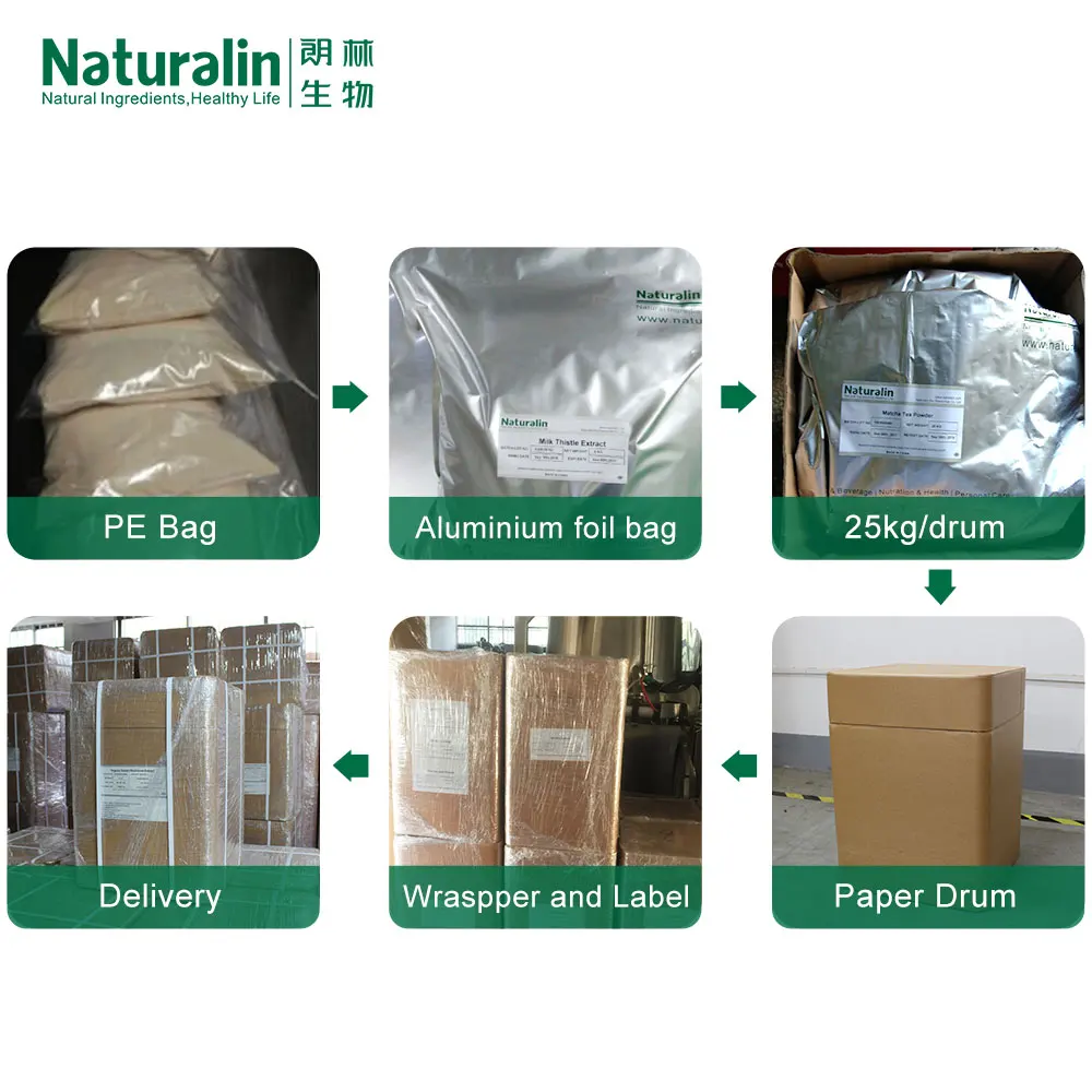Naturalin Wholesale Customized Healthy Plant Extracts Angelica Sinensis (Oliv.) Diels Ratio TLC Assay Angelica Extract