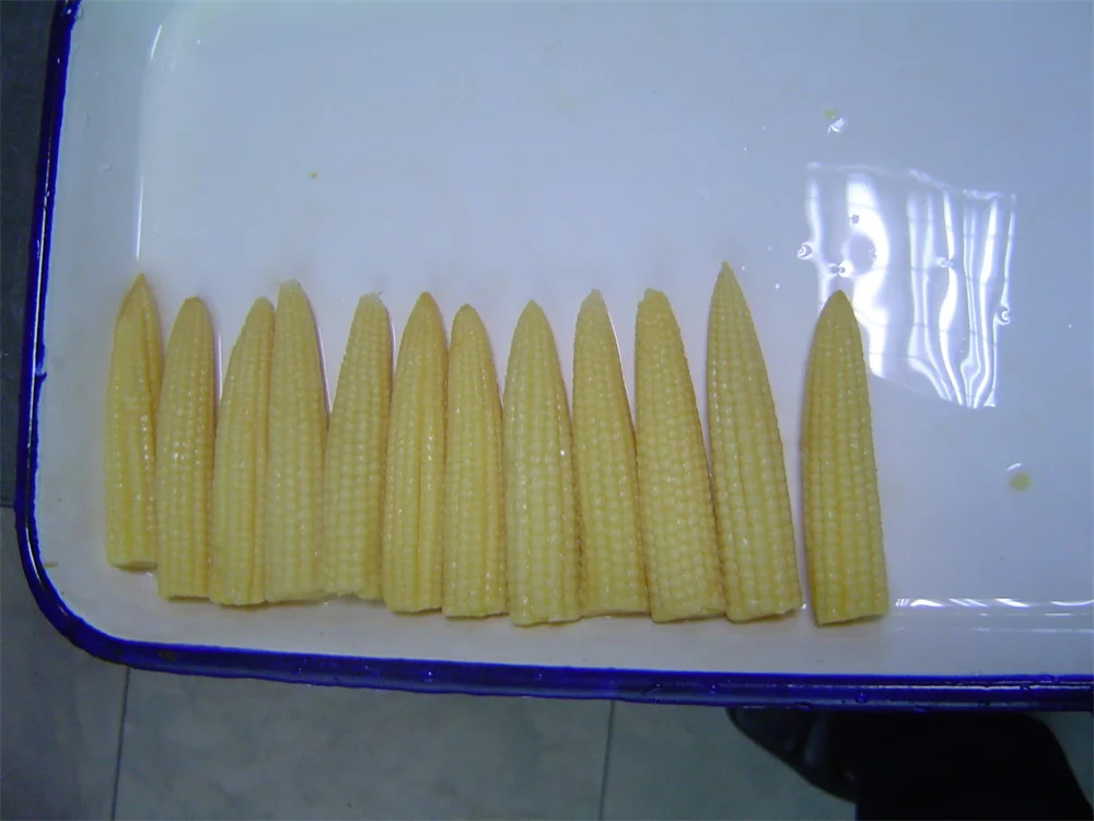 Water preservation young corn baby corn in cans with label