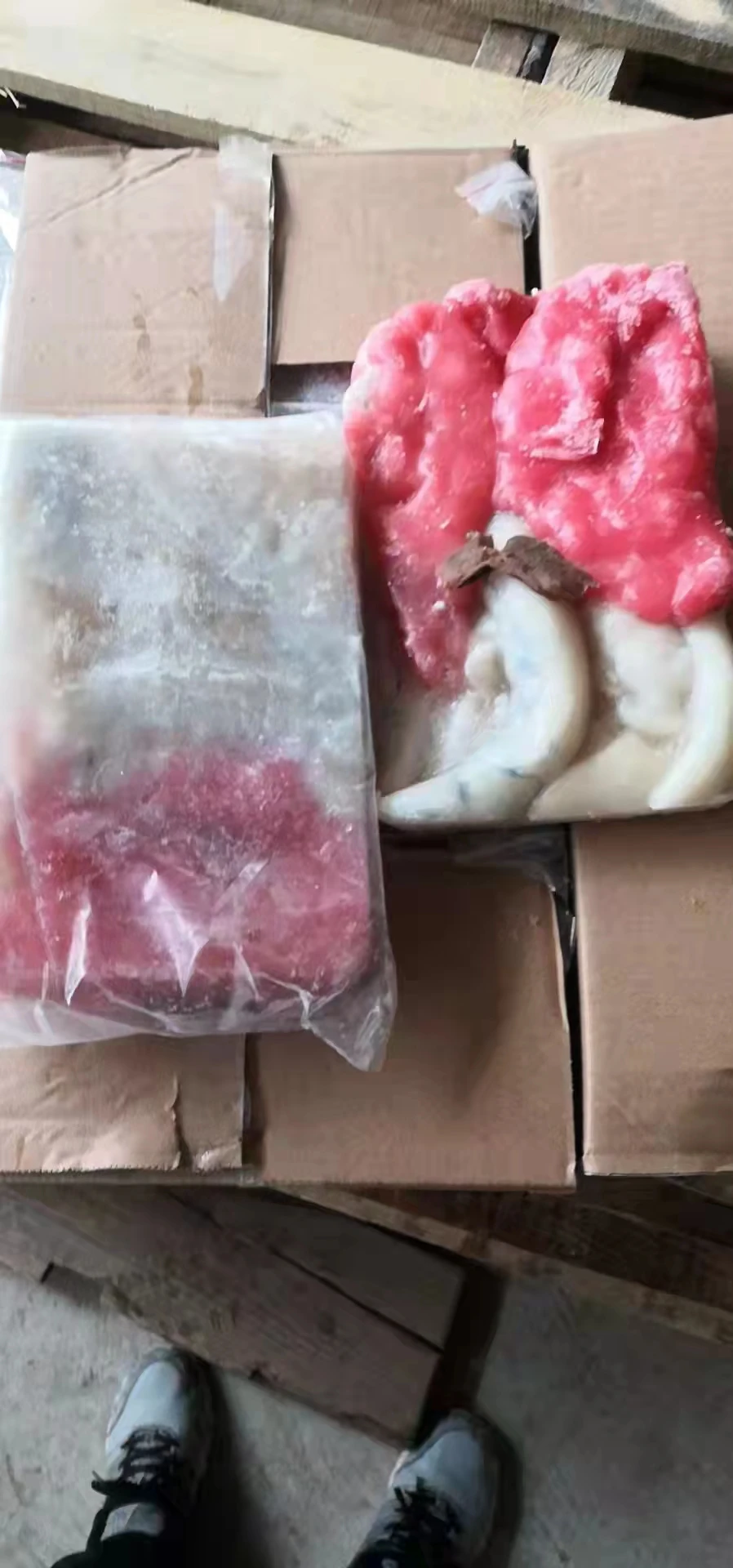 frozen Indian squid roe /indian squid egg / squid meat