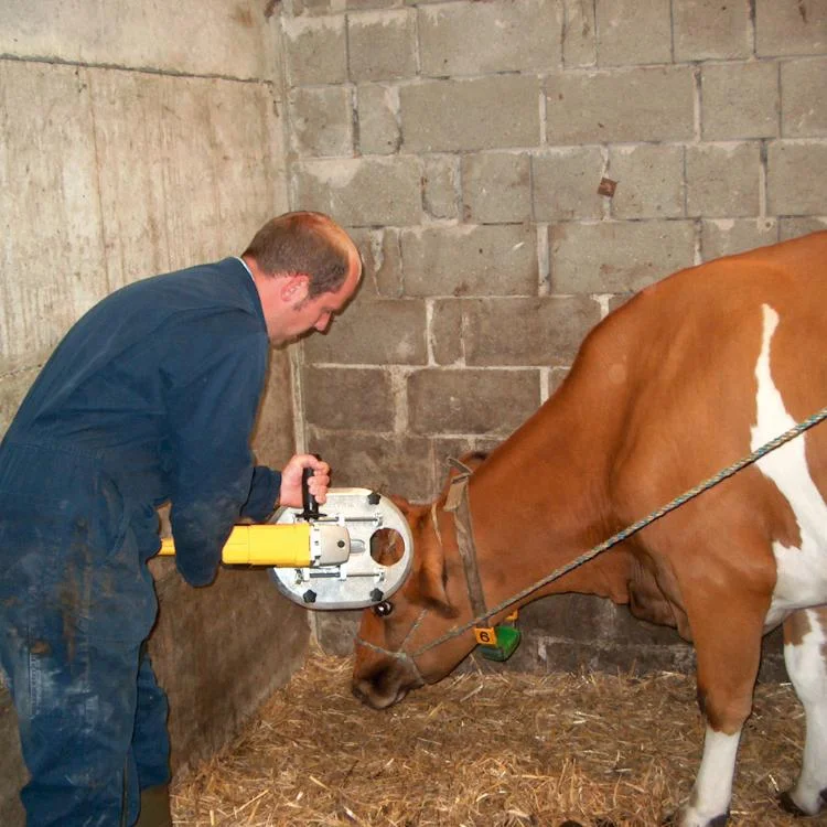 Delake Farming Poultry Equipment Cattle Calf Electric Dehorner Iron Dehorning For Sale