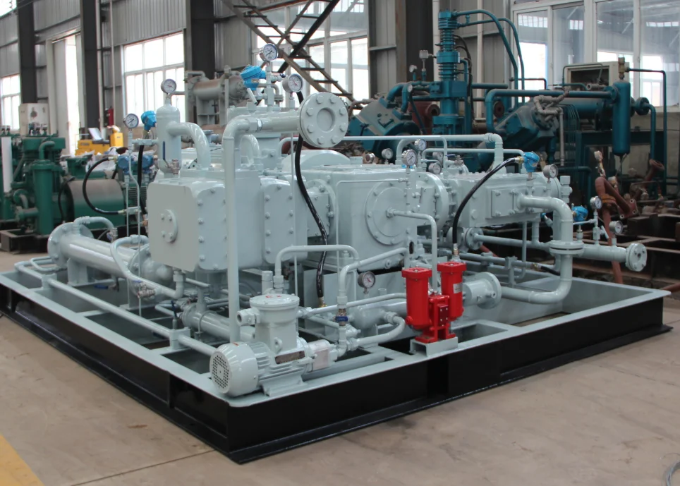 Best-Selling Noiseless Oil-Free Air Compressor CNG Natural Gas for CNG Filling Station