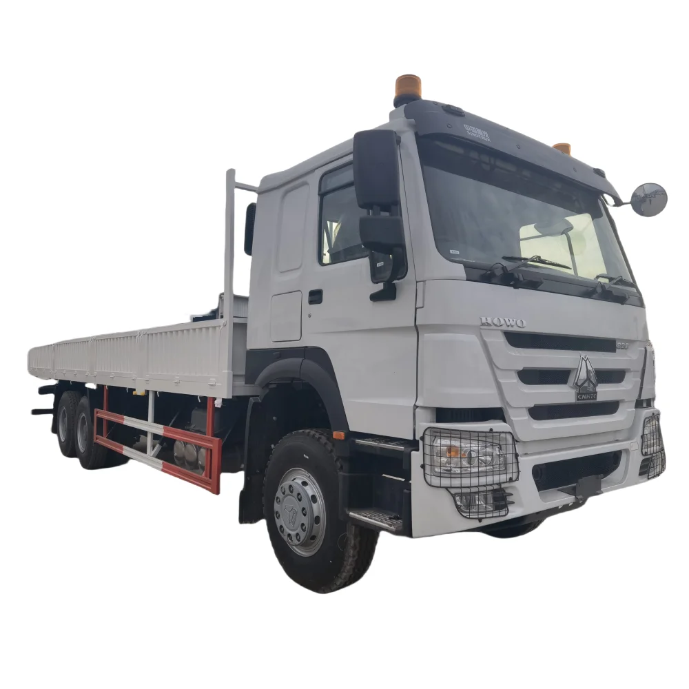 Customizable HOWO Foton Heavy Duty Cargo Truck 340HP  6*4 Lorry Truck Price