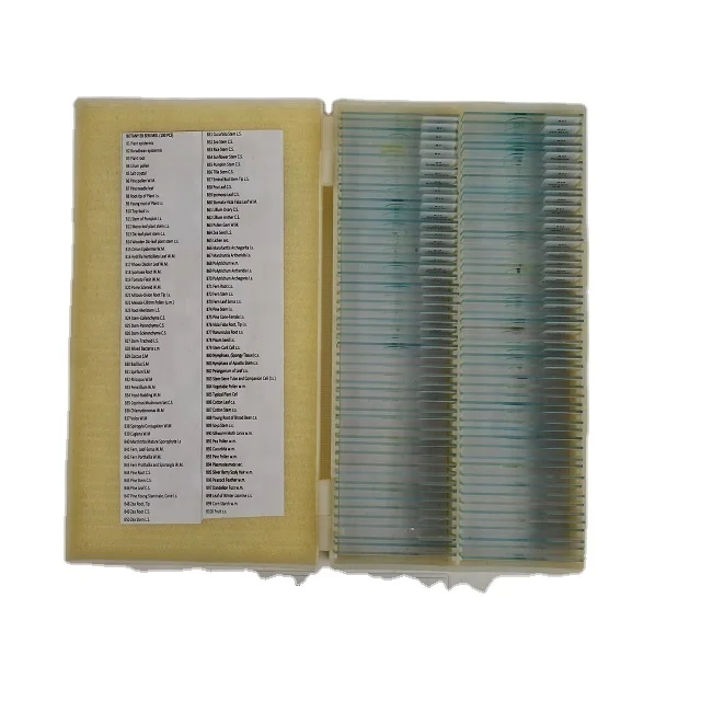Meiosis Prepared Microscope Slides Onion Root Tip Educational Prepared Slides Biology Medical Science