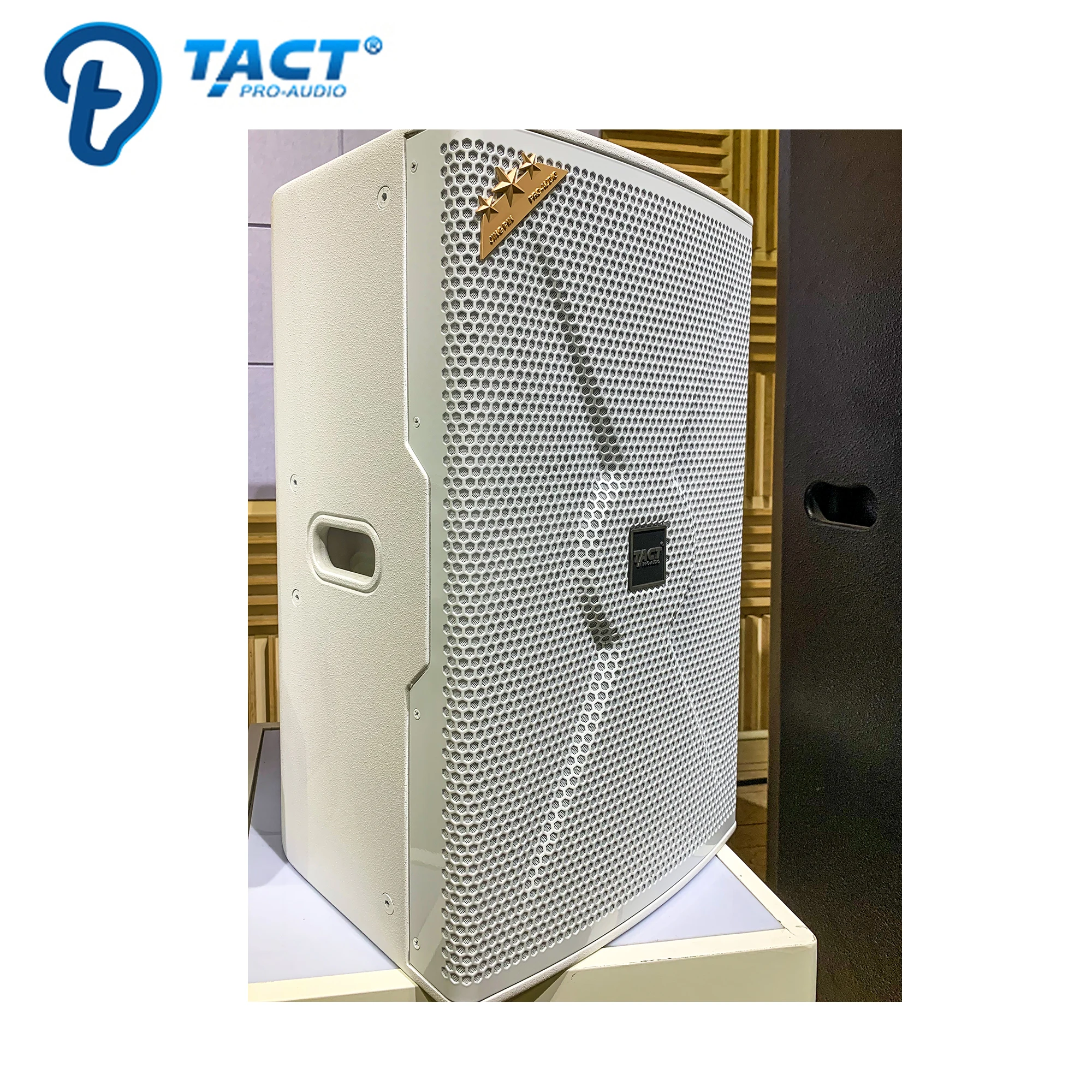 Professional sound equipment wholesale Single 12 Inch Full Range Wall Speakers audio