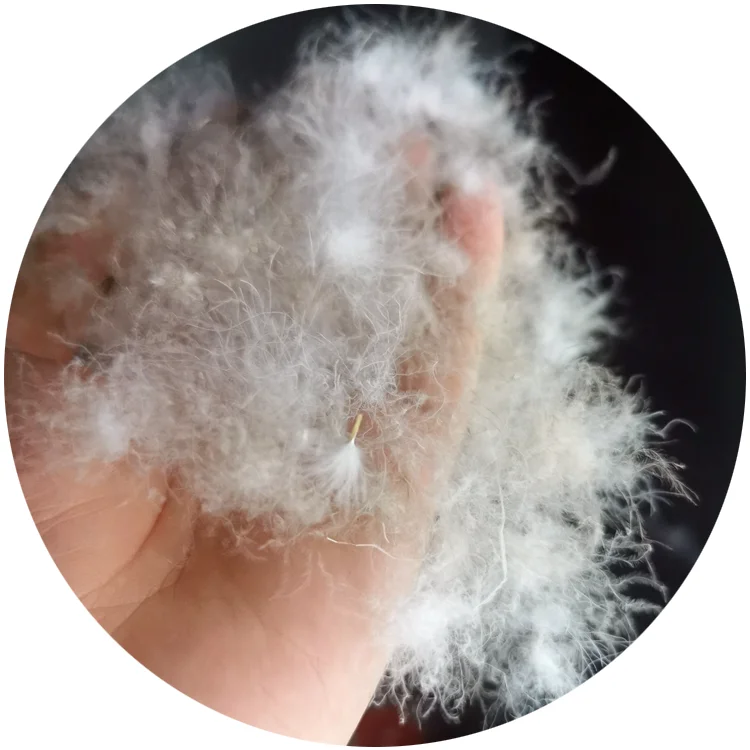 Hot Sale 80% Good Filling Power Grey Duck Down Material Japanese Standard