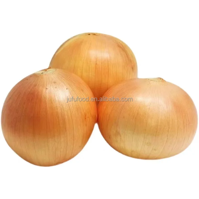 Best Selling Fresh Onions Bags Vegetable Mesh Bag Rich Nutrition Fresh Onions