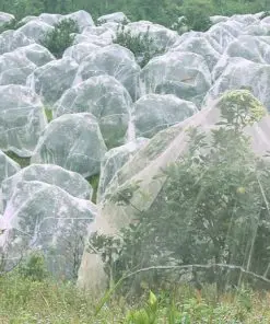 Plant netting prevent tree from insects, pests, birds, chickens fruit tree netting