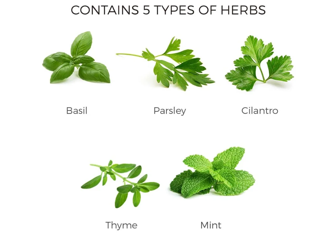 Herb Garden Kit. Seed Starter Kit Indoor. Grow 5 Different Herbs  at Home. Gardening and Home Decoration Gifts