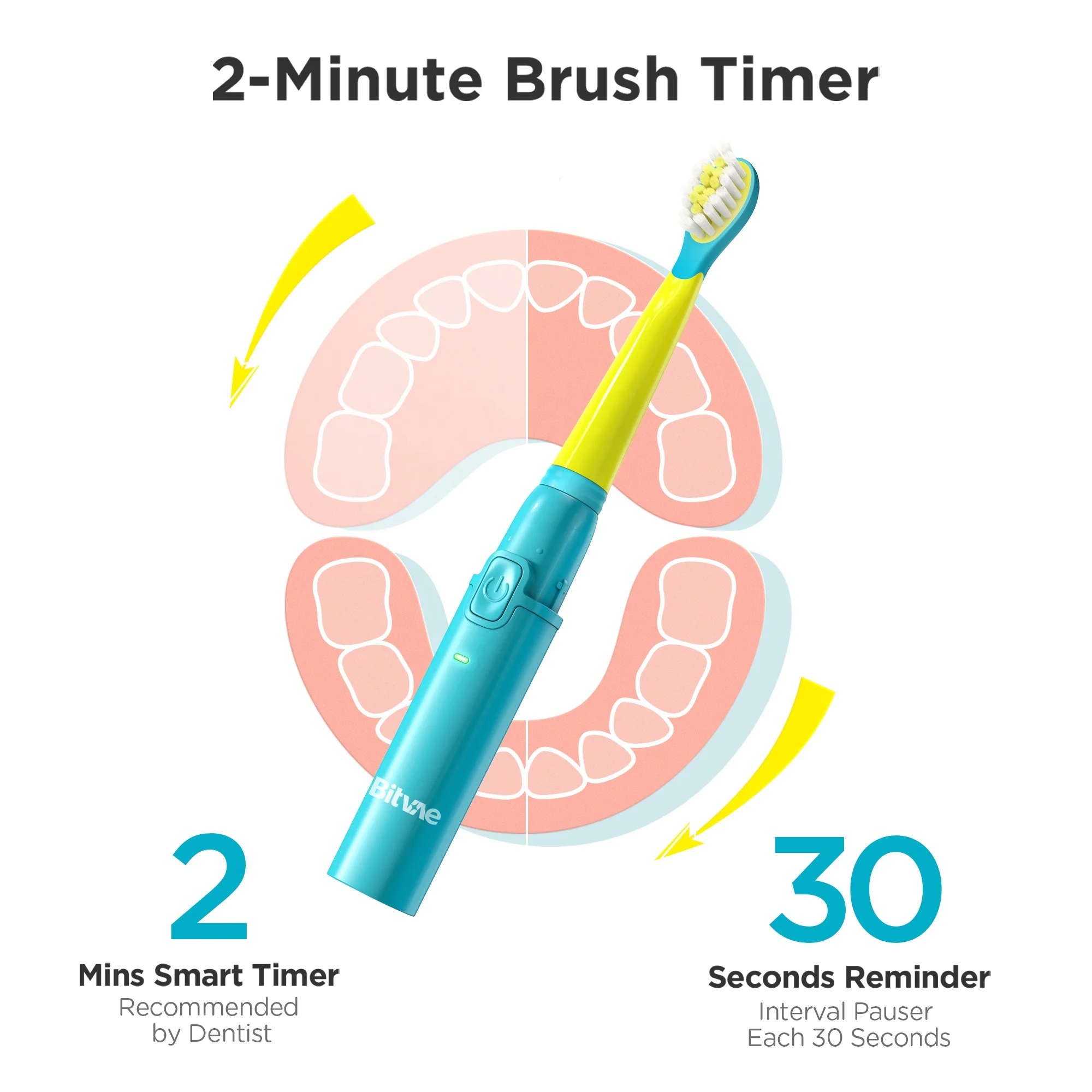 Bitvae BV 2001 оптовая продажа товаров лидер продаж Детская электрическая зубная щетка для детей