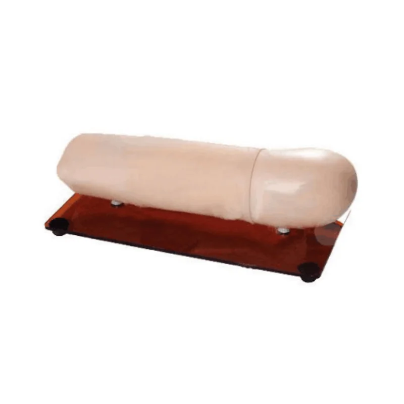 BIX-FPC Advanced subcutaneous contraceptive practice arm model