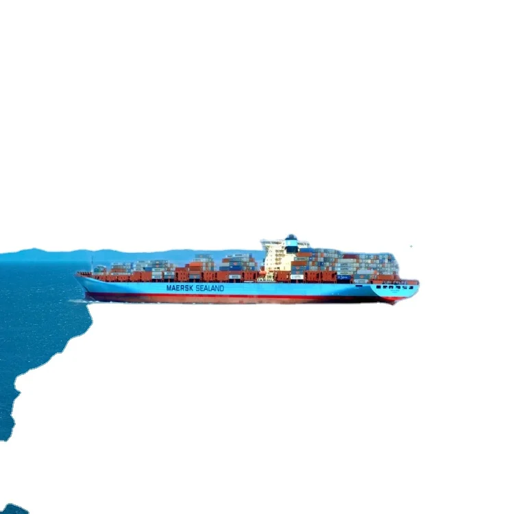 Sea freight international logistics from shenzhen freight forwarder to Cameroon Central African Republic South Africa Egypt