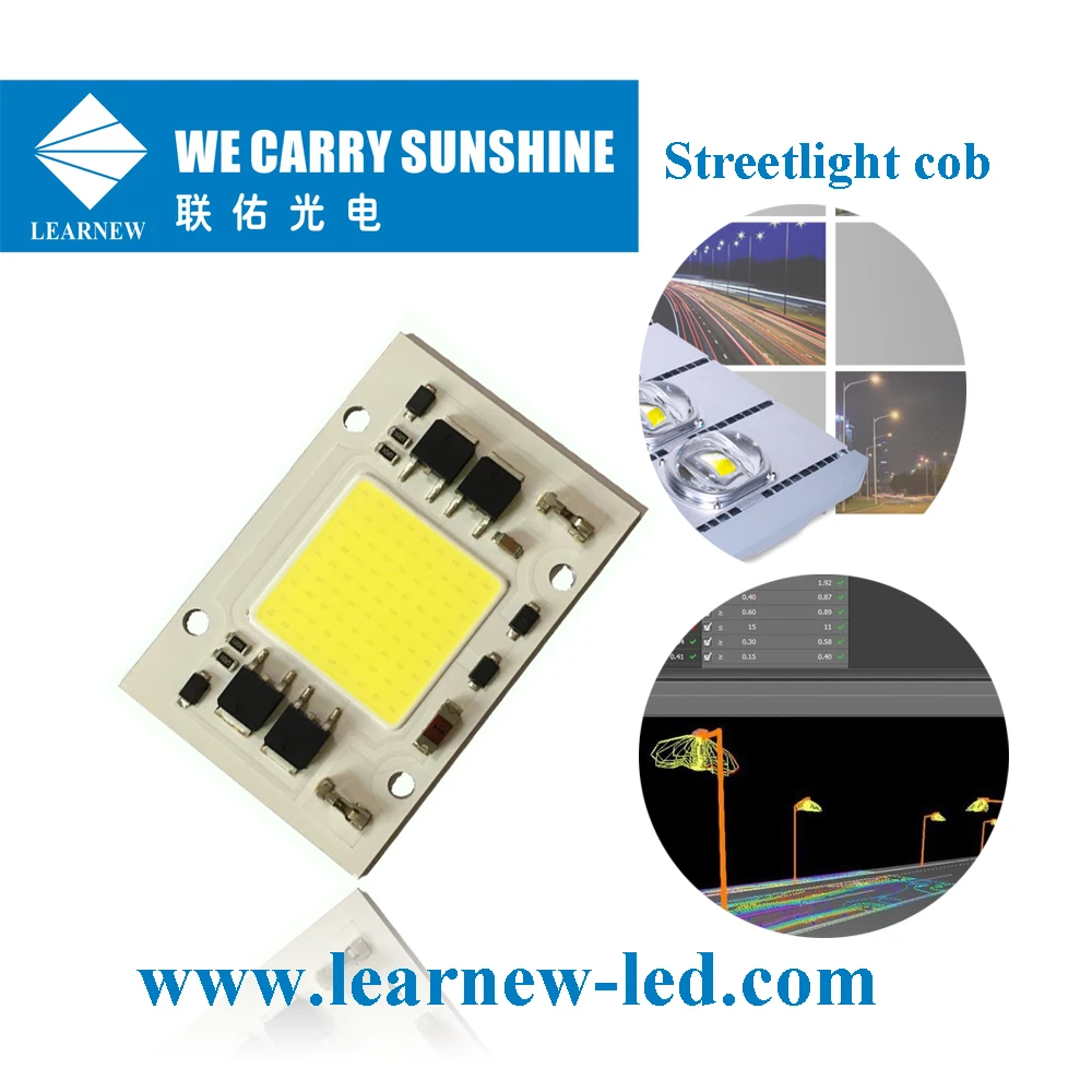 Outdoor lighting Manufactured 4060 SERIES AC 200V 220V 230V 240V 30W  led chip 50w AC COB LED Chip