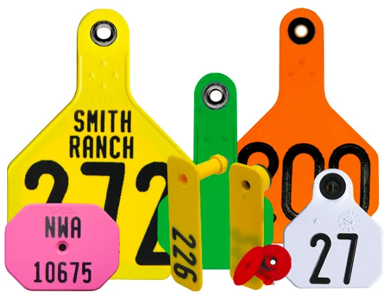 Animal Ear Tag Engraver Fiber Laser Marking Machine for Ear Tag Laser Marker for Ear Tag