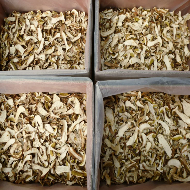 
Factory Price Premium Quality Washed Bulk Dried Porcini Mushroom 
