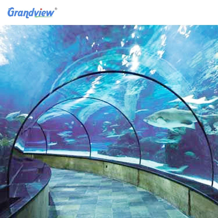 Wall-to-Wall transparent  underwater acrylic glass tunnel aquarium