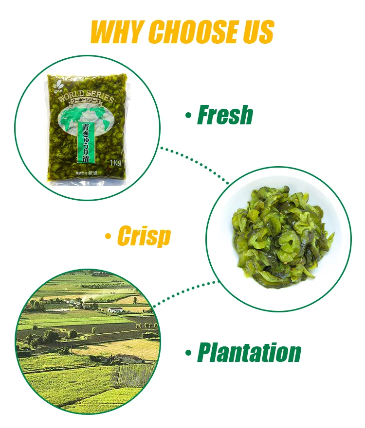 Explosive New Products gherkins pickles Whole Preserved Vegetables Source factory Fresh  natural and organic pickled gherkin