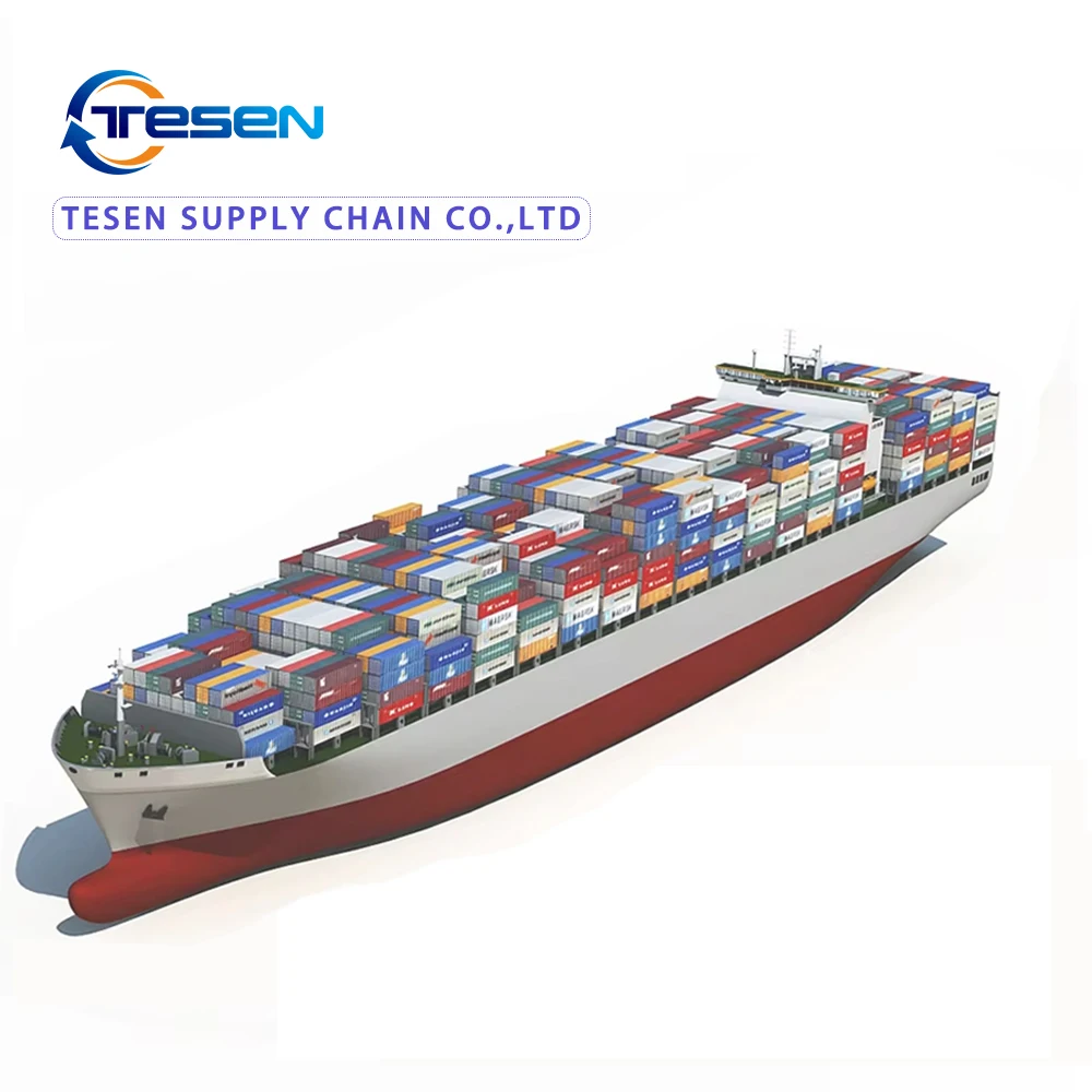 Logistics services from Shenzhen to the UK United Arab Emirates including FCL LCL DDP and cargo transport