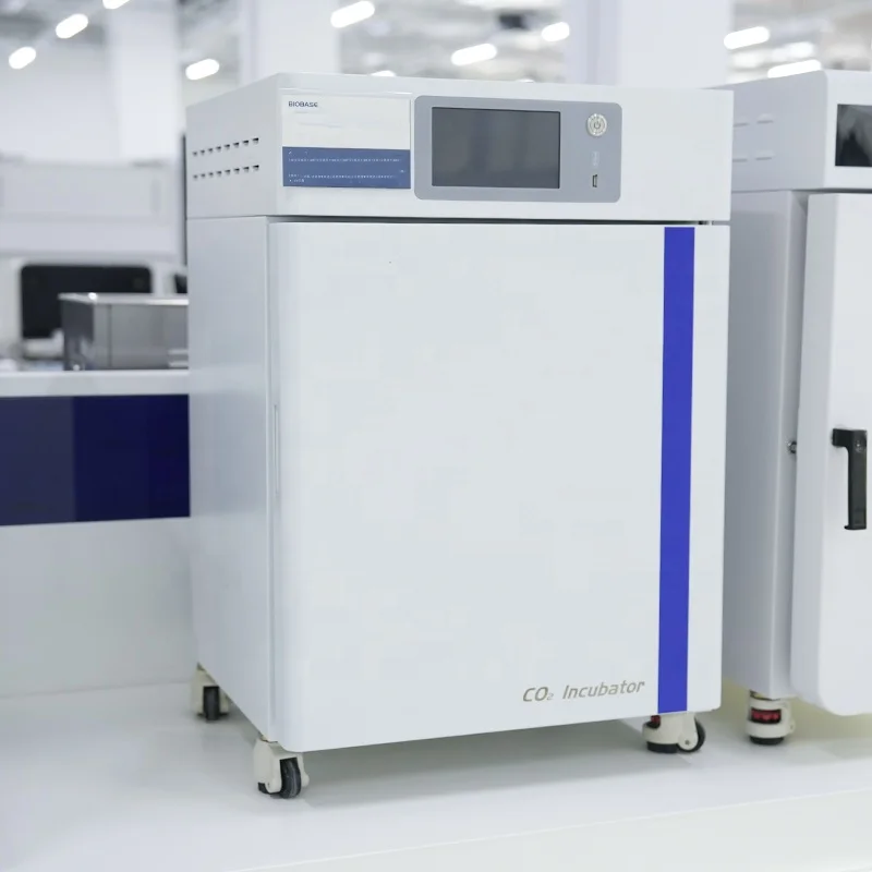 BIOBASE Carbon Dioxide Incubator High Quantity and Cheap Price Bacterial Incubator for Lab Scientific Incubator