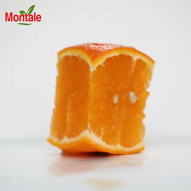 Fresh Charm Citrus Orange Fruit Exporters Citrus Fruits