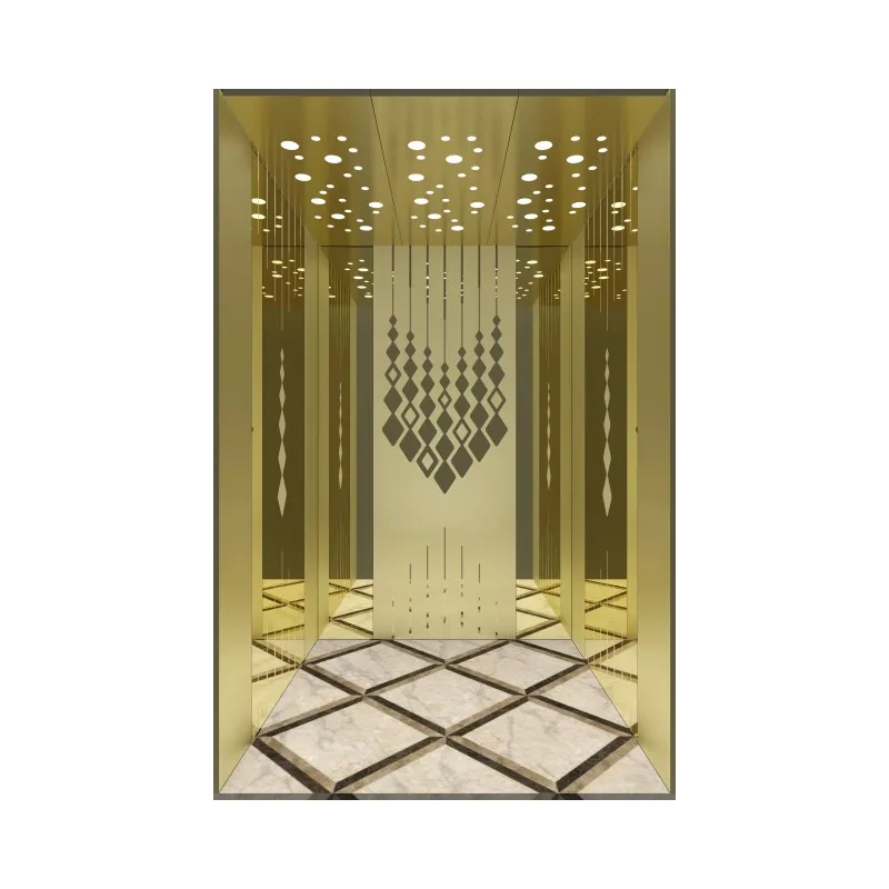 GOTS elevator hot sale electric indoor elevator passenger elevator 1000kg