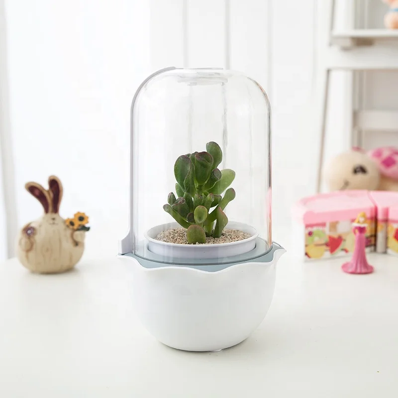 Innovation mini Indoor Smart Garden Succulent hydroponic growing system garden greenhouses pot