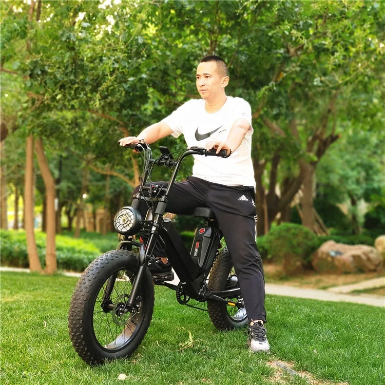 REALMAXS Hot sale 20 inch electric bicycle rear drive 1000w electric city bike electric bike cheap city electric fat bike