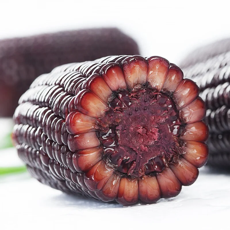 Sweet seasoned purple corn good price for corn oil