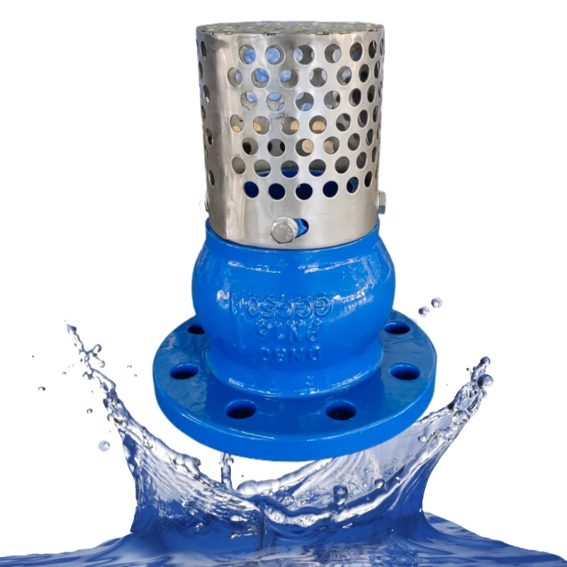 Bottom Premium Price Foot Valve Water With Strainer Ductile Cast Iron Foot Valve With Stainless Steel Strainer