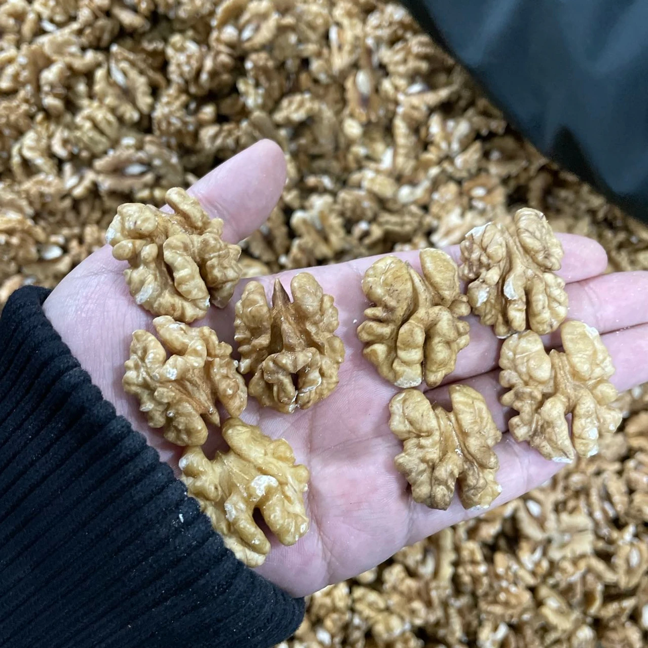 Xinjiang walnut kernels mix from China wholesale in bulk cheap price hot sale