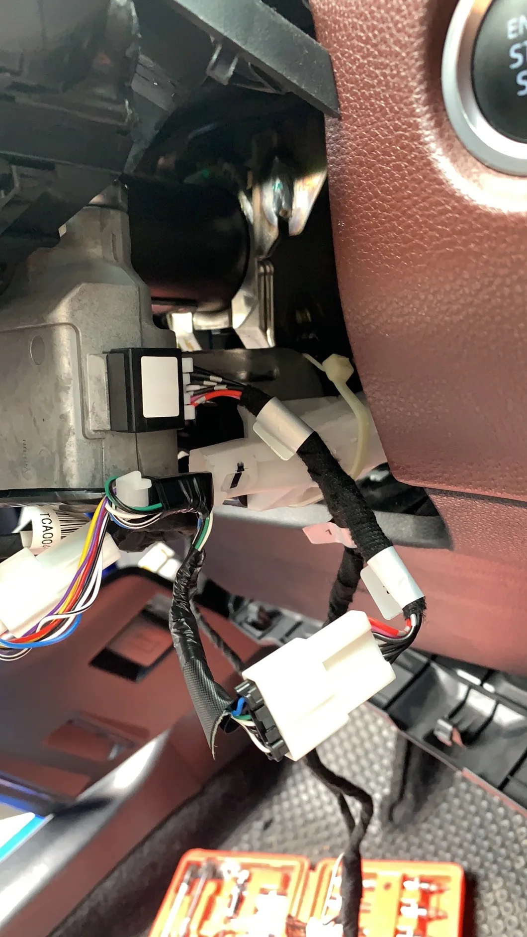 cross 2021-2022 2.jpg