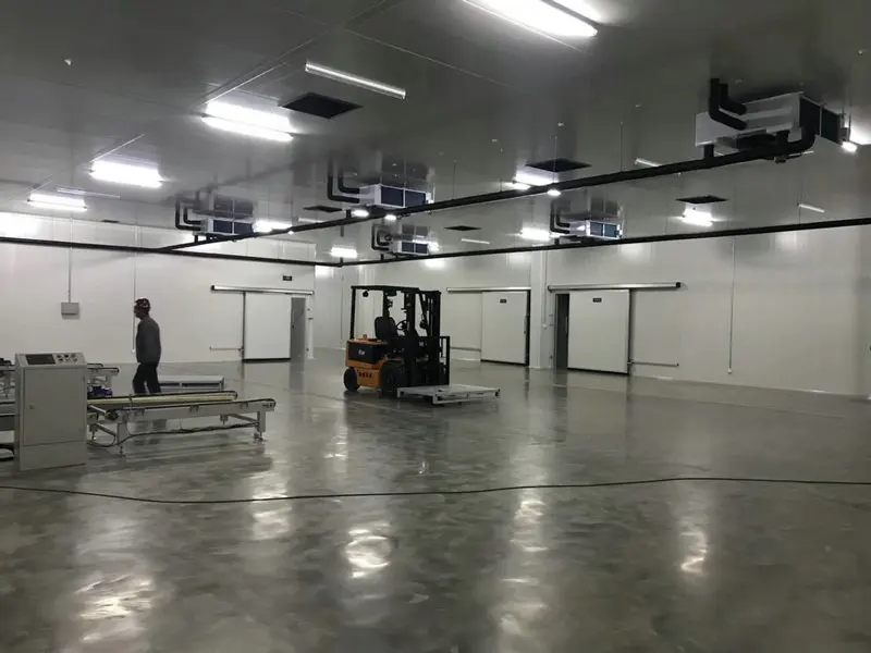 High Efficient Customized Industrial Seafood Cold Room Manufacturer