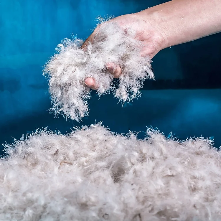 
Wholesale High Quality Washed 60% Gray Duck Down Feather Down Raw Material From China 
