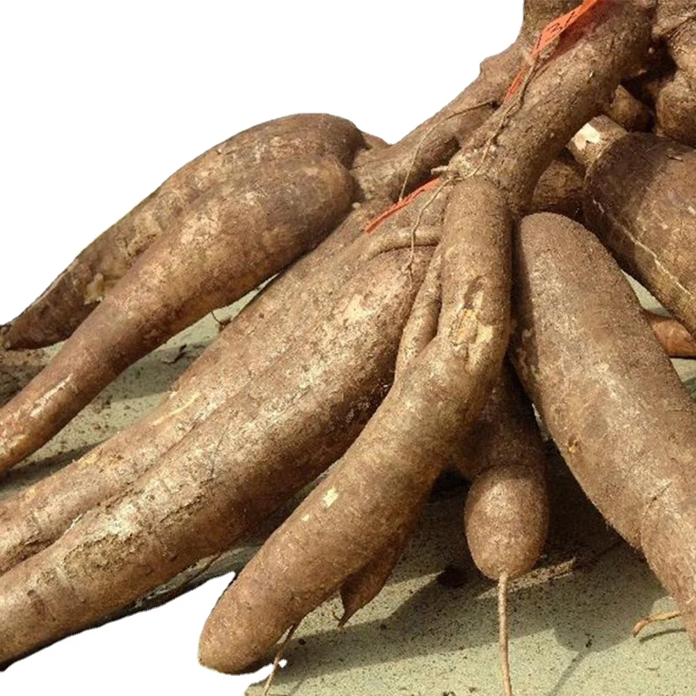 (Sliced and Dried) for Ready to ship and Fast logistic service/ Starch material and others/International qualify cassava chips