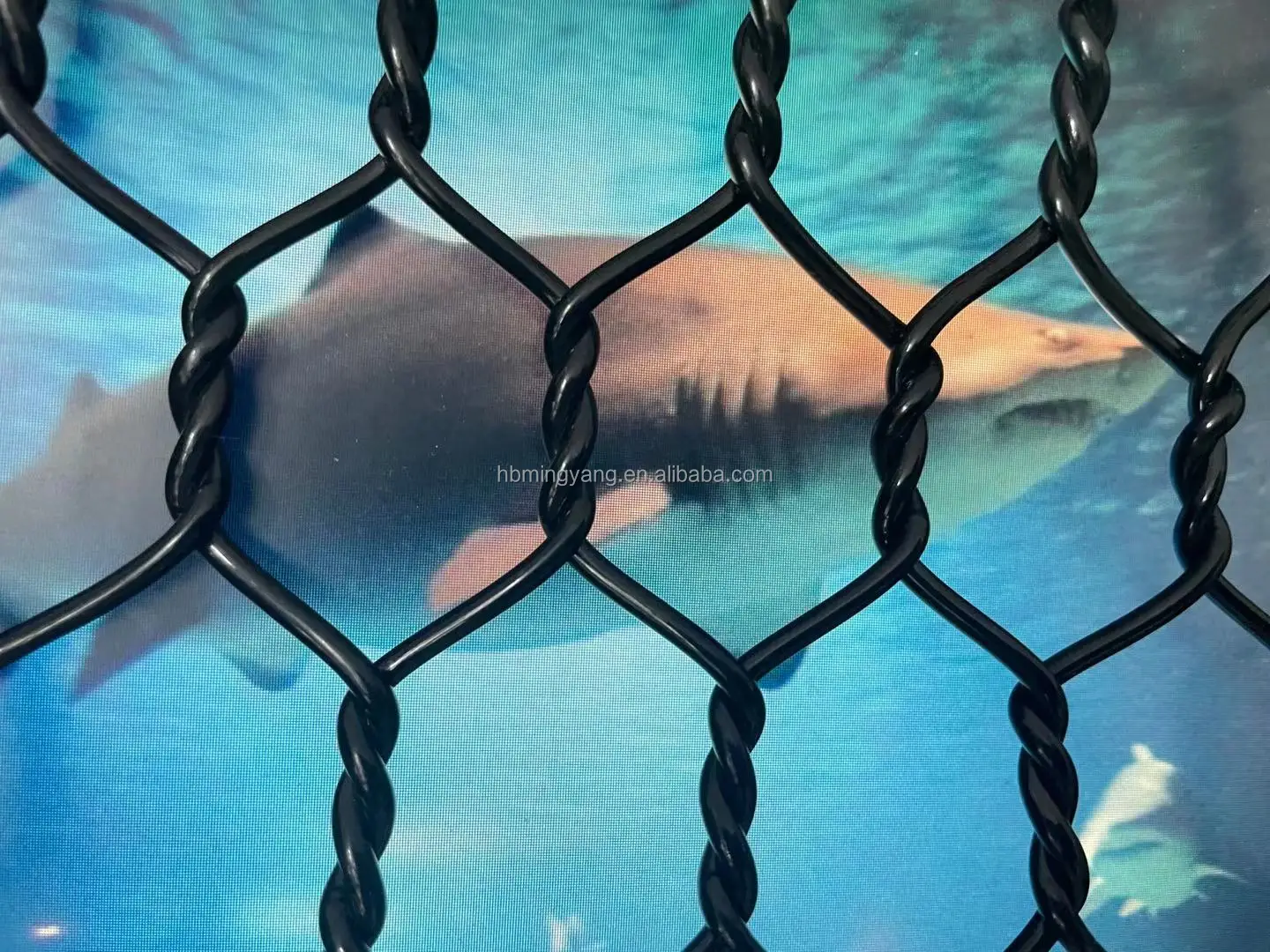 Europe standard Aquaculture Net Cage machine deep sea farming Fishery Machinery