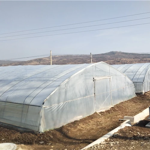 
The cheapest mini single-span poly tunnel agriculture green house tunnel plastic film tomato greenhouse construction 
