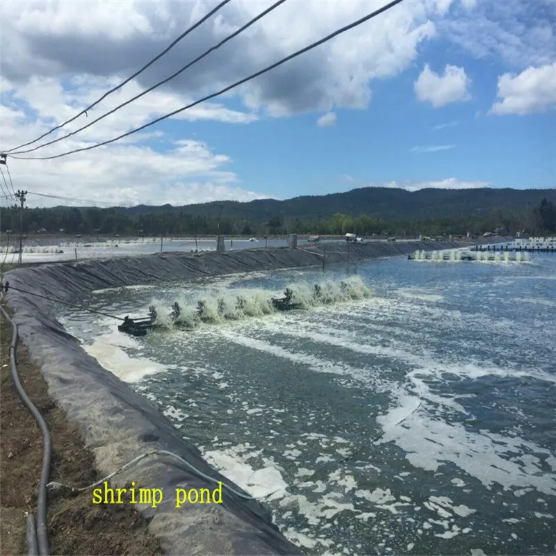 0.9mm HDPE Pond Liner for  India Prawn Fish Farm Pond  Project