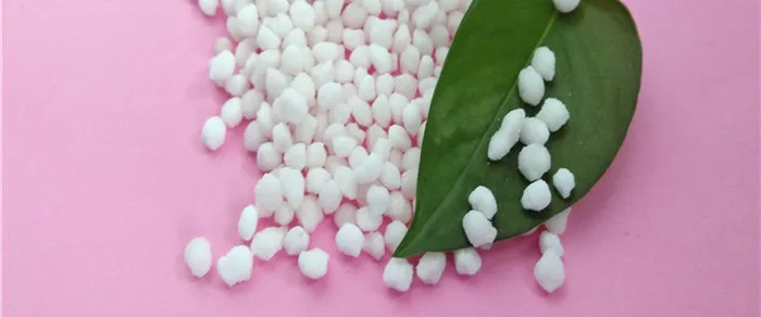 nitrogen 21 fertilizer_.jpg